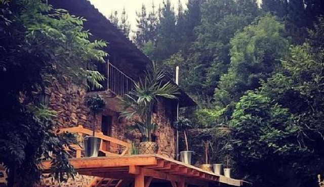 Rural apartment, special for families and pets, river and mountain views.