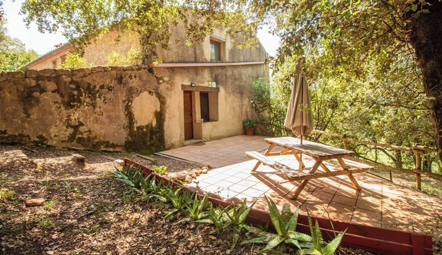 Rural apartment with garden and pool 5 minutes from the medieval town of Besalú