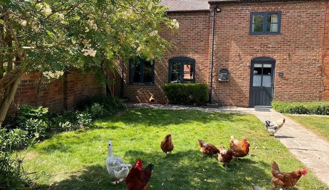 Rural Barn Cottage - near Stratford upon Avon