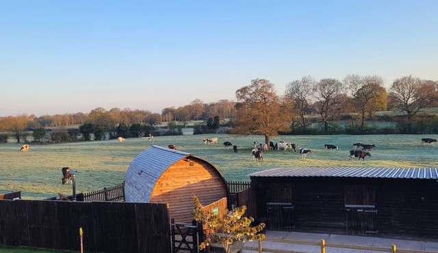 Rural Cosy Cabin with Wood-Fired Hot Tub