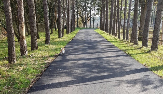 Rural cottage at 3. 5km from the spa