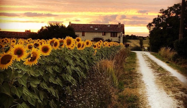 Rural Farmhouse, Bright Open Plan, Private Infinity Pool, NEW kitchen/lounge