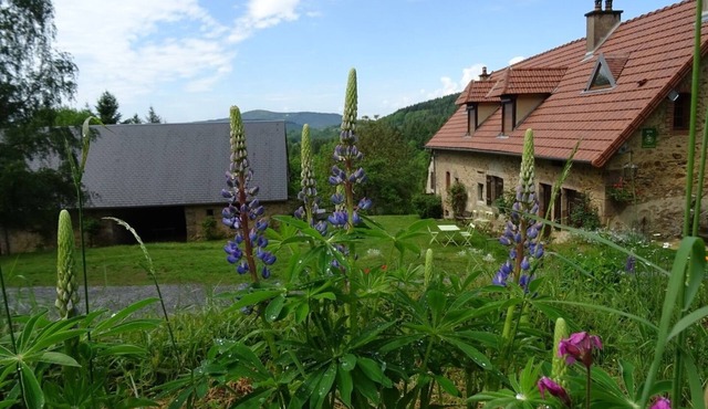 Rural gite Boisseau, 6 pers. quiet and spacious with panoramic views