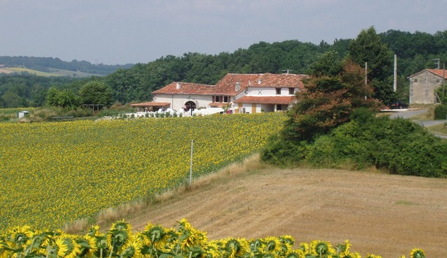 Rural gite for 4 with private terrace, shared large pool and games room