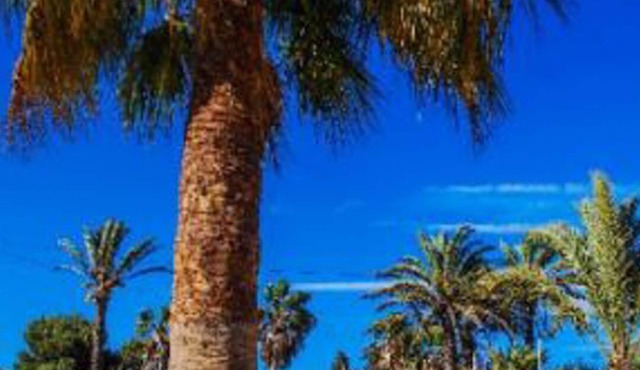 Rural house in La Manga, ideal for families, pets allowed