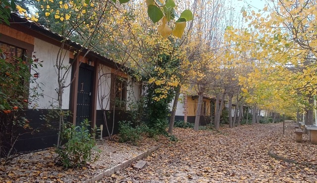 Rural House A1 next to the Tus River with swimming pool