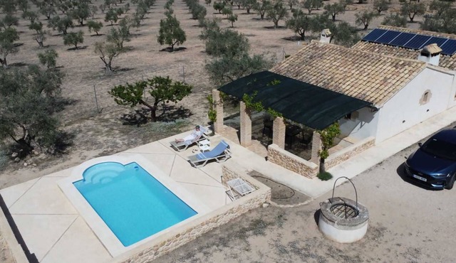 Rural house among olive trees
