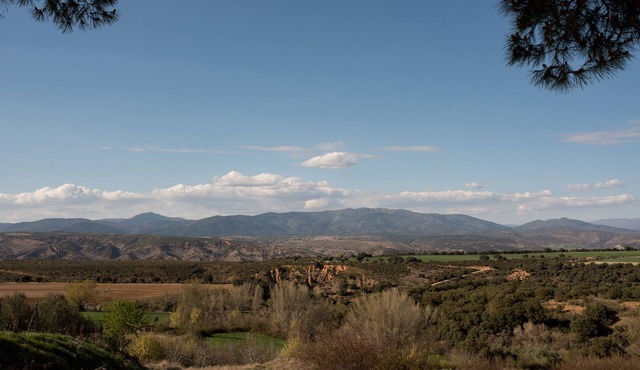 Rural House El Olmo Guadalajara. Rest in the middle of nature