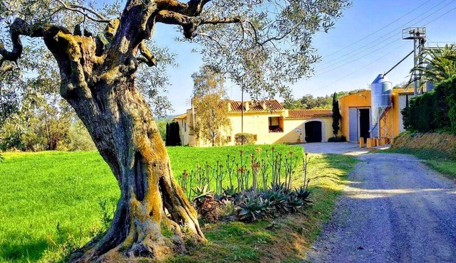 Rural house (full rental) Mas Hortus for 13 peopleOffers