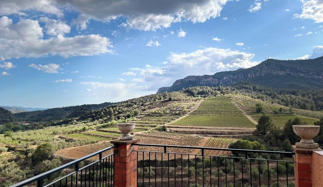 Rural house in the heart of Priorat with 5 bedrooms and spectacular views.