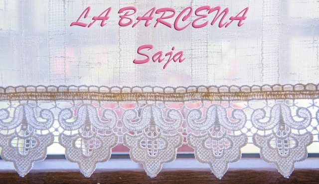 RURAL HOUSE LA BÁRCENA SAJA