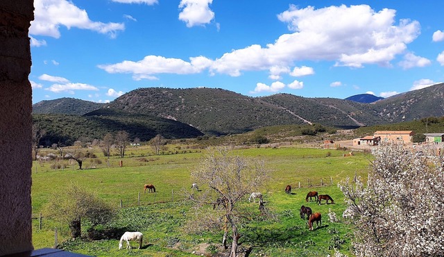 Rural house with swimming pool in the Cabañeros National Park