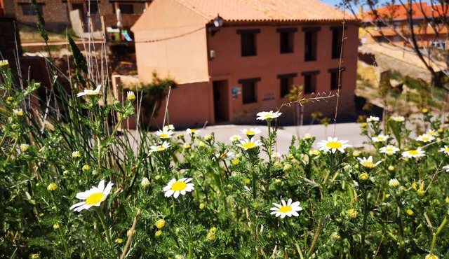 Rural house with barbecue in Teruel