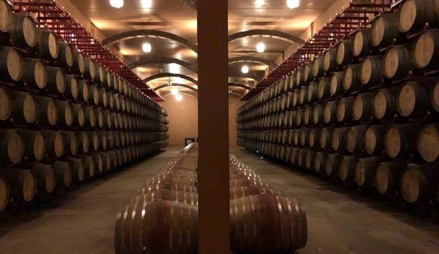 RURAL LODGING AT HACIENDA VILLARTA WINERY