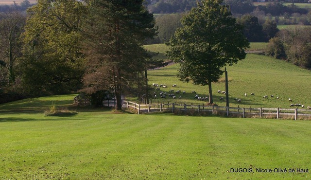 Rural lodging in the Béarn Pyrenees