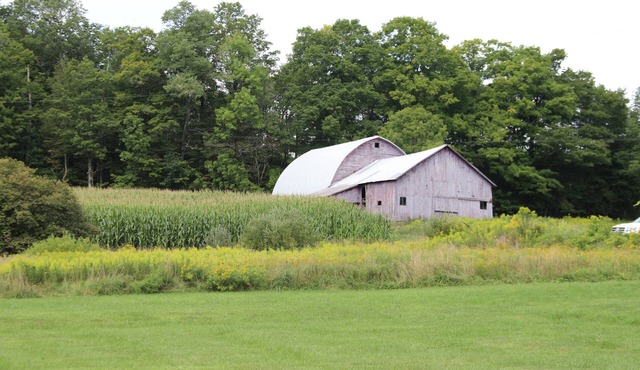 Rural MIL Suite 1 Bedroom, NO WiFi, vintage Farmhouse on 172 acres!