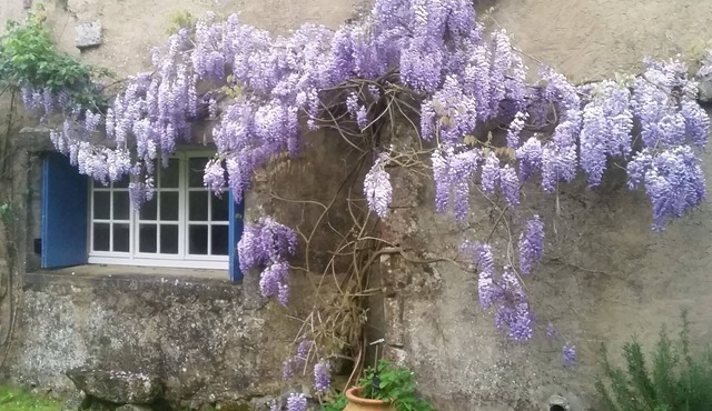 Rural peaceful house close to beach, golf and shops. House sleeps 7/9.