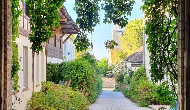 Rural retreat in Champagne Country with large pool - Friends & family friendly!