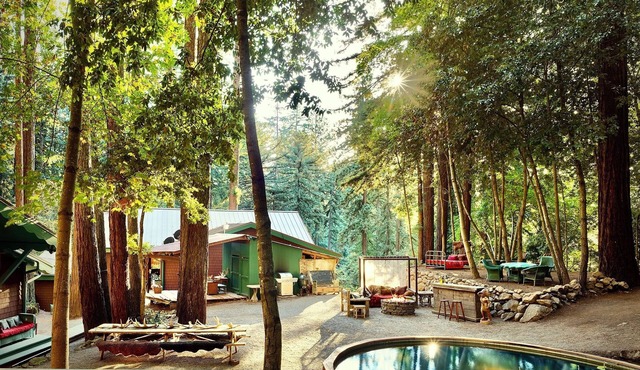 Rural Retreat in Giant Redwoods at center of Napa Wine Country, Free Concierge