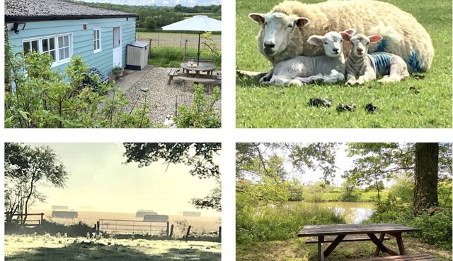 Rural Retreat in Idyllic Countryside - ideal for fishing , dogs & walks