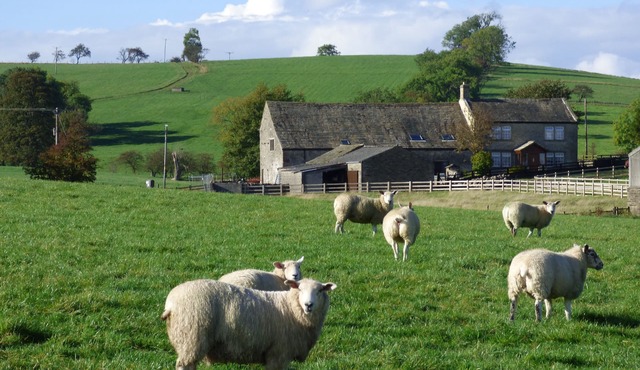 Rural Seclusion with panoramic countryside views, dog friendly, free WiFi.