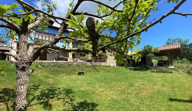 RURAL TYPICAL ASTURIAS'S HOME