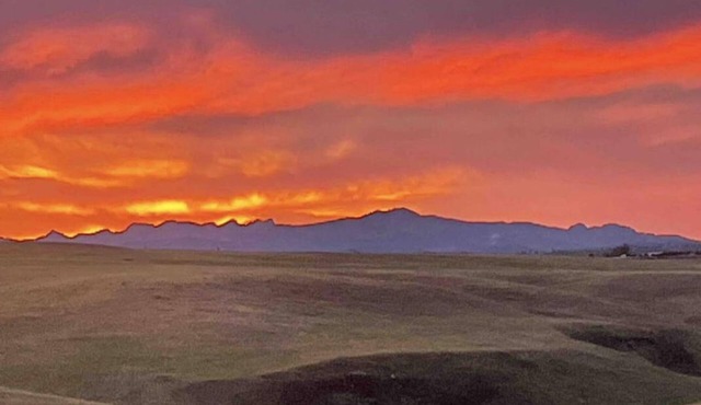 Rushmore Ranch Guest Cabin