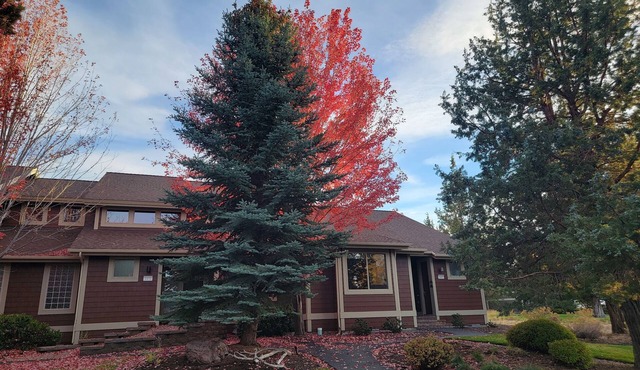 Russ And Mary's Mountain High Bungalow (Includes 6 guest passes)