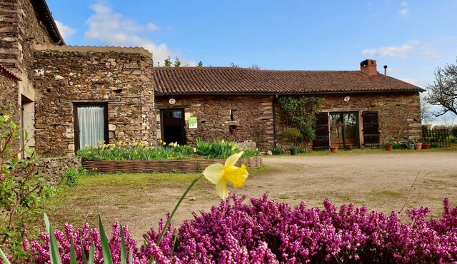 Rustic 18th Century Stone Cottage with Eco-Friendly Restorations, Terrace, and Playground