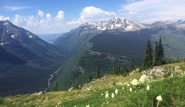 Rustic 2 Bedroom Cabin, 2 Baths, Sleeps 4, 2 Minutes From West Glacier