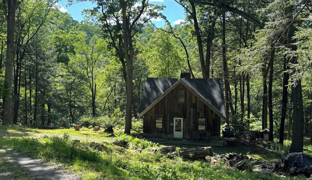 Rustic 2BR 1BA Cottage w Porch!