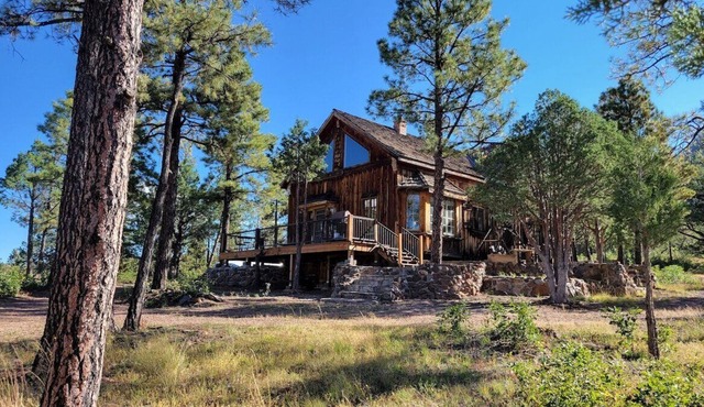 Rustic, 3-Bedroom Cabin with Privacy & Views!