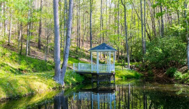 Rustic 3BR w/Private Pond + Firepit~Free Tix