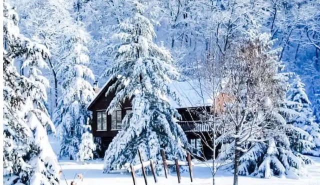 Rustic Acres Cabin & Springs