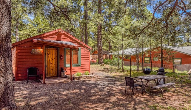 Rustic Adventure w/Historic Log Cabin /Forest Views /20 minutes from