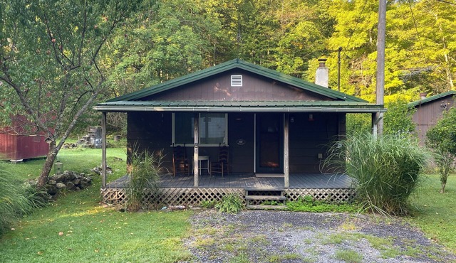 Rustic and cozy, pet-friendly, cabin with WiFi in scenic Dryfork