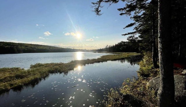 Rustic and Stylish Cabin on Stunning Serene Pond