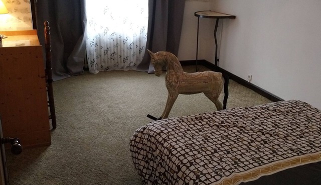 Rustic Appart old mountain village