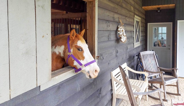 Rustic & Authentic Farm Stay by Dupont Forest!
