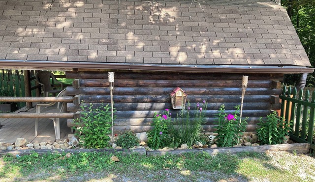 Rustic Bee Cabin - camping