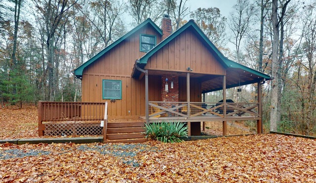 Rustic Blue Ridge Cabin with Porch, Central AC and Gas Fireplace