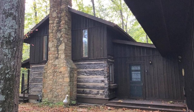 Rustic but comfortable private cabin in the woods. NOTE: 31 day minimum stay.