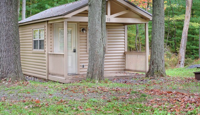 Rustic Cabin 27 w/4 Beds