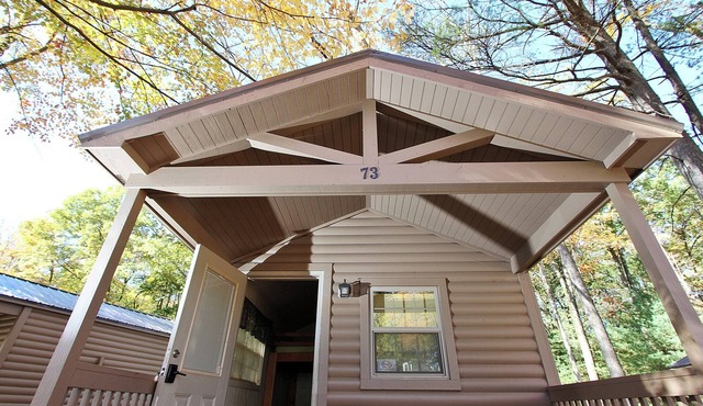 Rustic Cabin 28 w/4 Beds