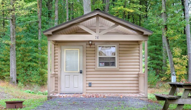 Rustic Cabin 29 w/4 Beds