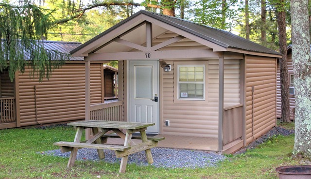 Rustic Cabin 73 w/4 Beds