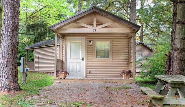Rustic Cabin 74 w/4 Beds