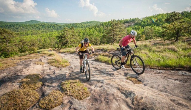 Rustic cabin at Dupont Forest