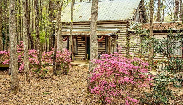 Rustic Cabin Getaway near Flint River in Thomaston, Georgia