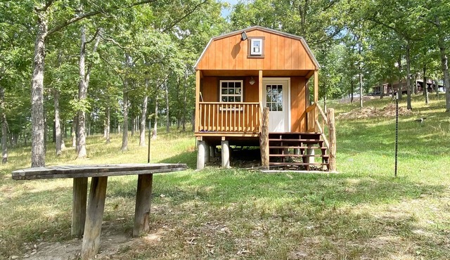 Rustic cabin in the woods